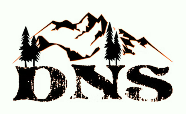 DNS Logo