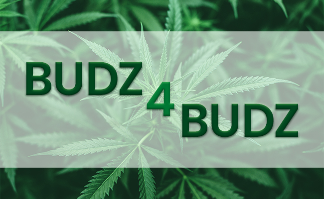 Buds for buds referral program