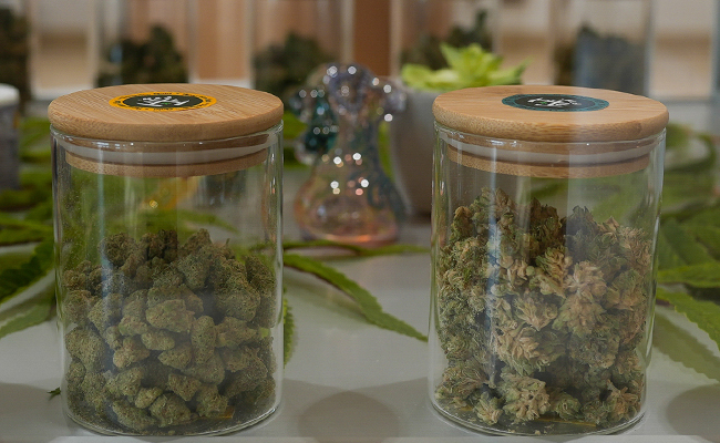 Cannabis Health Drawing Rewards